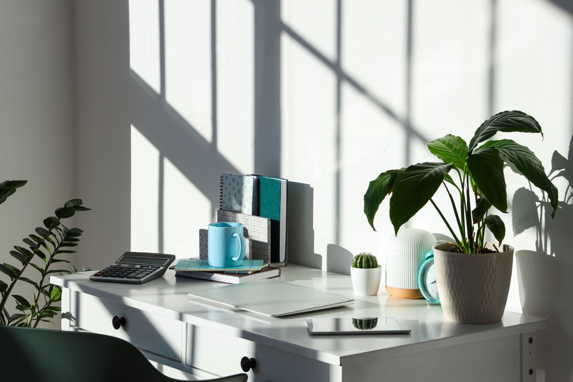 Un escritorio con una computadora portátil y una planta en maceta encima.